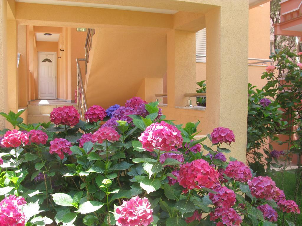 Garni Hotel Koral Budva Exteriör bild