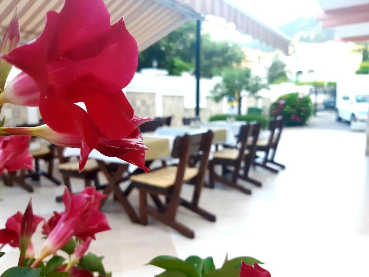 Garni Hotel Koral Budva Exteriör bild